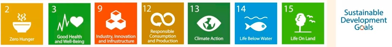 SDGs